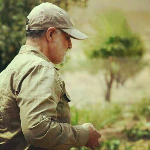 همایش سینماگران جوان